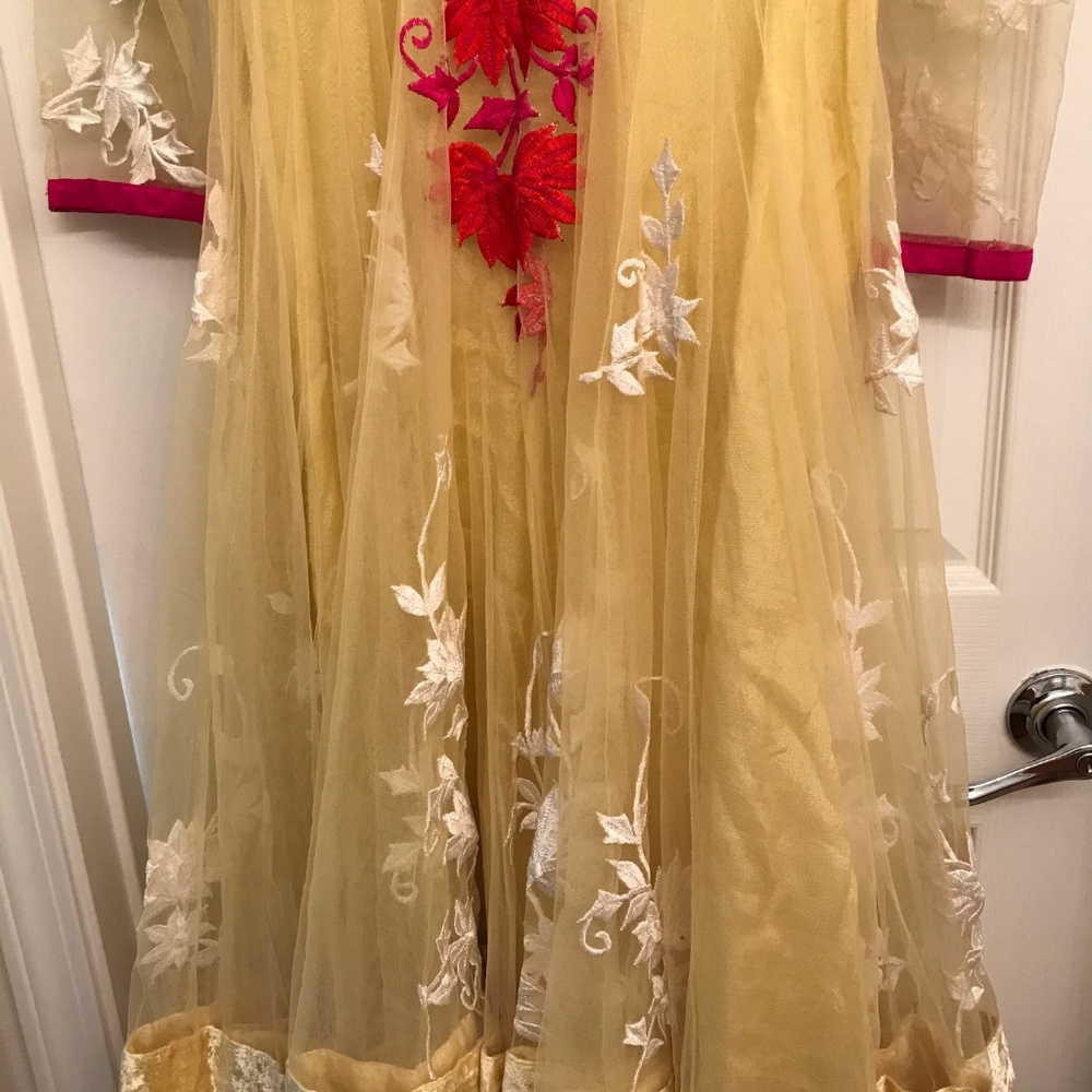 Designer Embroidered Salwar/Shalwar Kameez XL - Picture 4 of 6